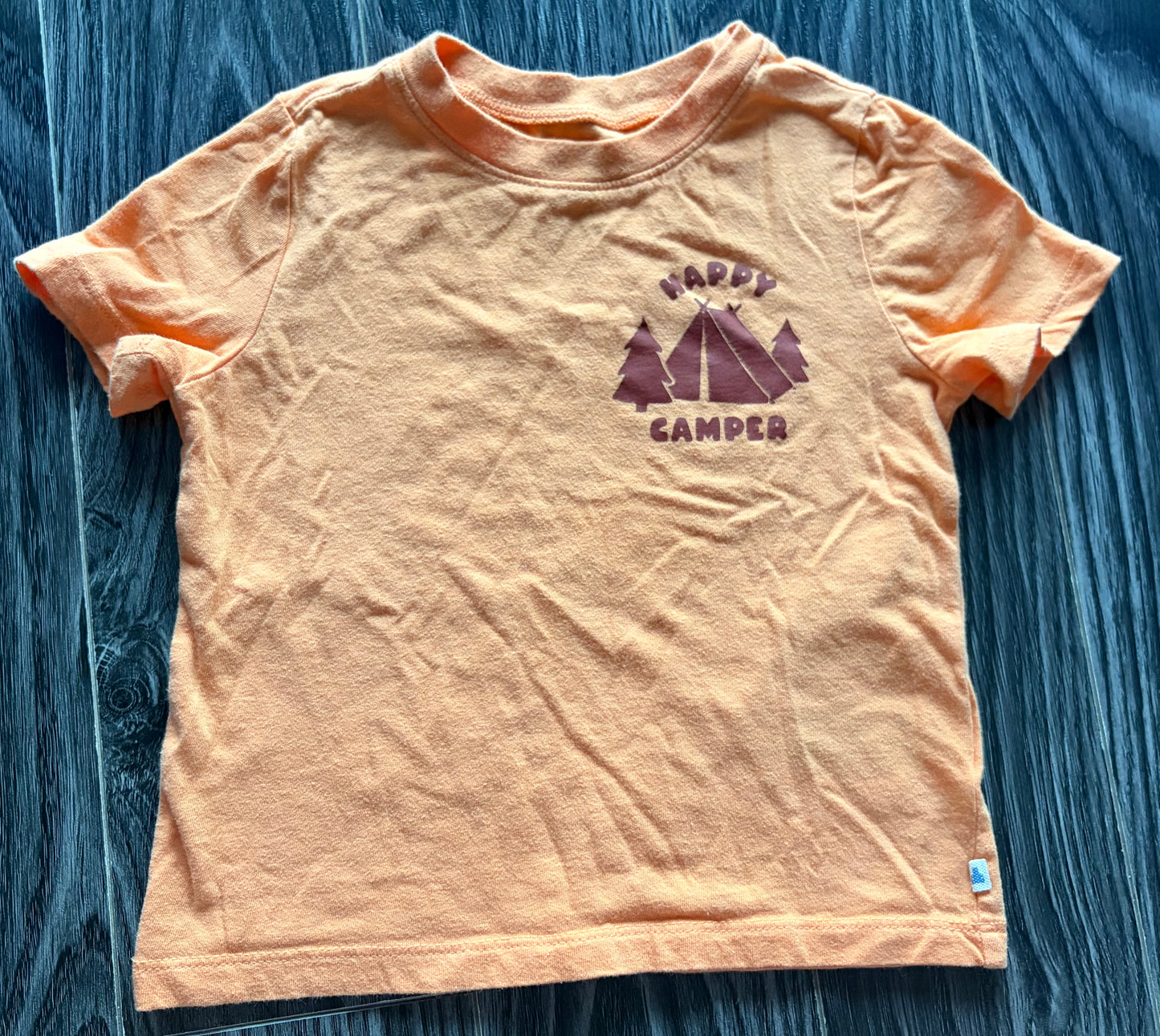 Chandail Baby Gap 3T