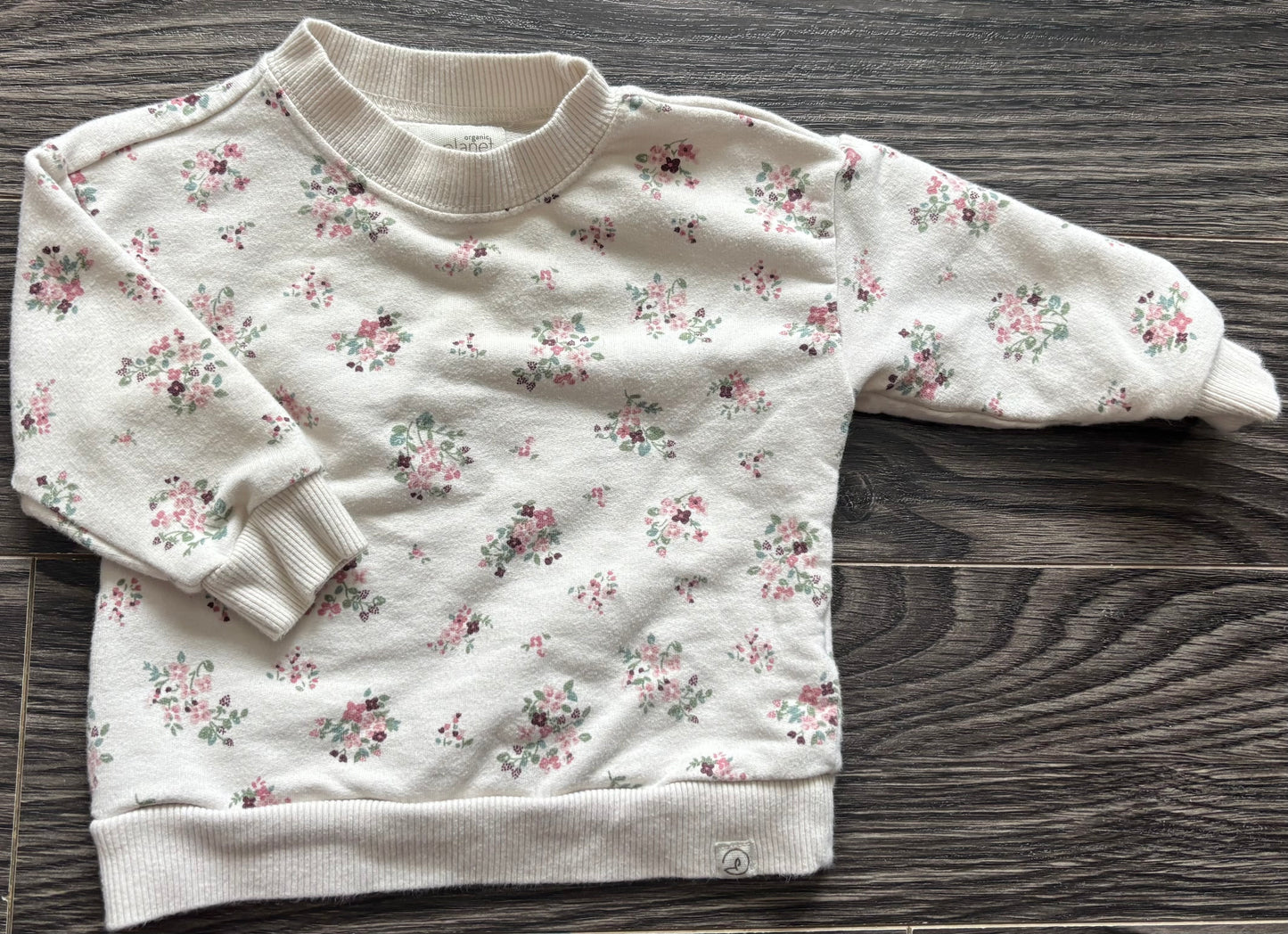 Chandail Carter’s 6mois