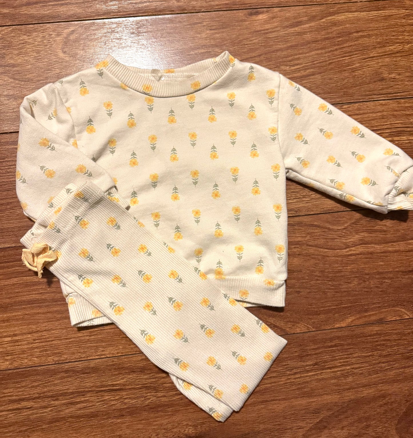 Ensemble Chickpea 12mois